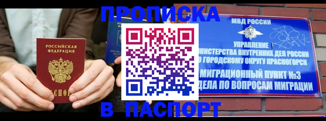 где прописаться в Курчалом